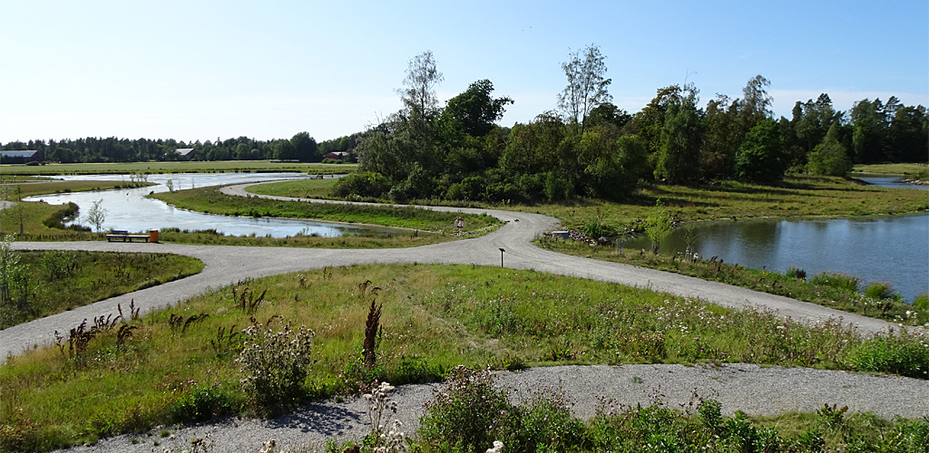 Vy över Johannisbergs våtmarkspark. Foto: Elisabeth Löfberg