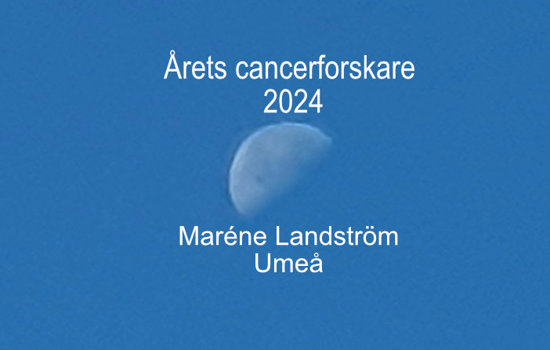 Årets