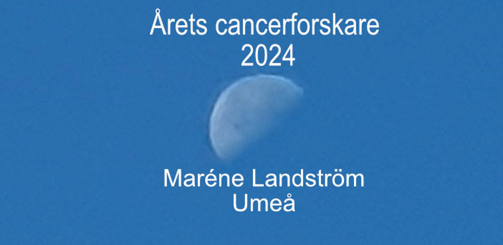 Årets