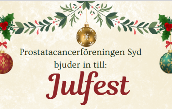 Skärmbild 2026-10-28 105639.png
