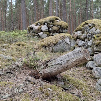 Image000001
