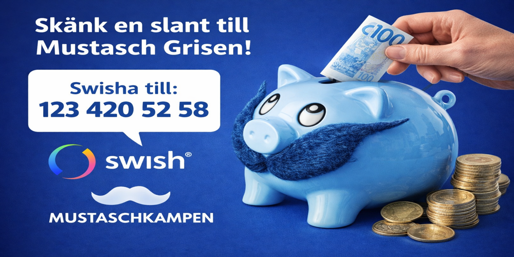 Mustasch Grisen 1000X500