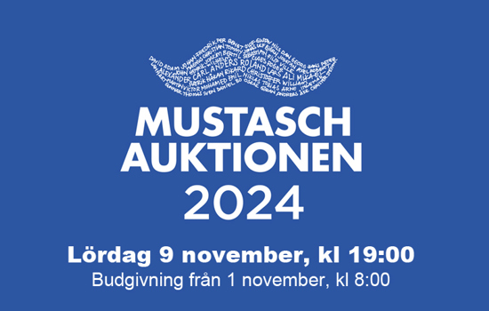 Mustaschauktion2024