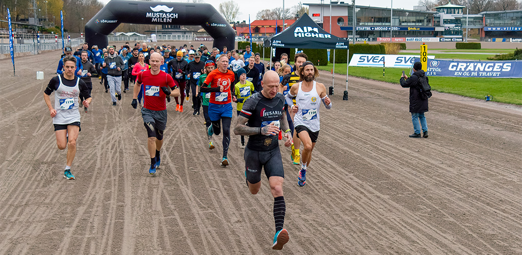 Solvalla Mustaschmilen