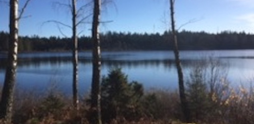 Hållsdammen