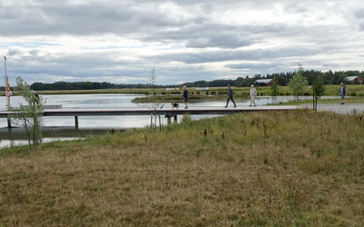 På väg ut på bryggan. Foto: Elisabeth Löfberg