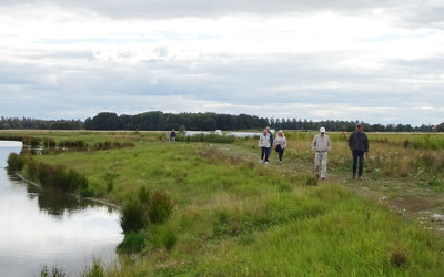 Lättsam promenad. Foto: Elisabeth Löfberg