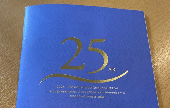 25 Års Broschyr Liten