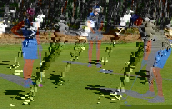 Rosa Bla Bollen Image 1