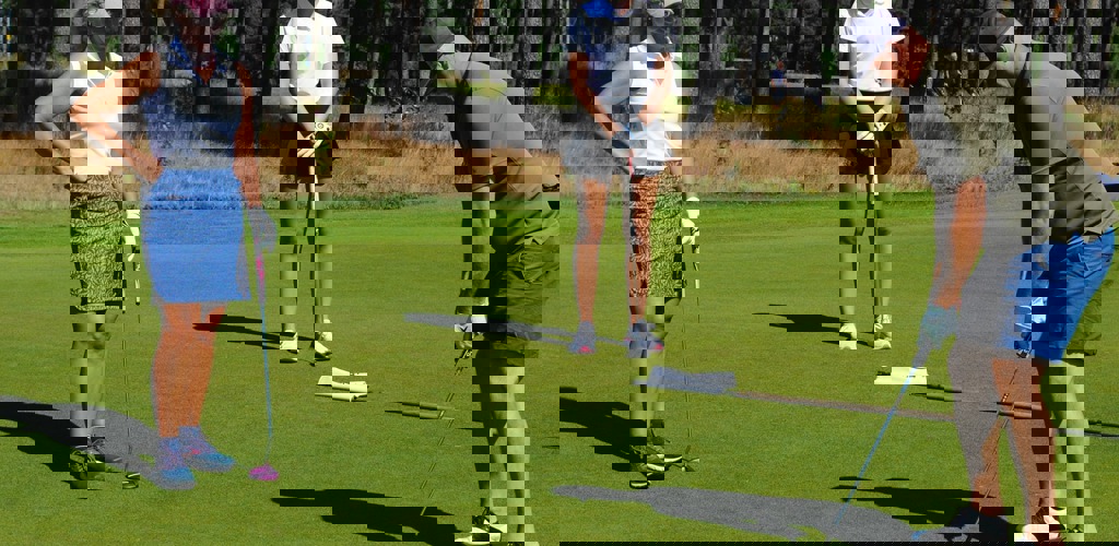 Rosa Bla Bollen Image 1