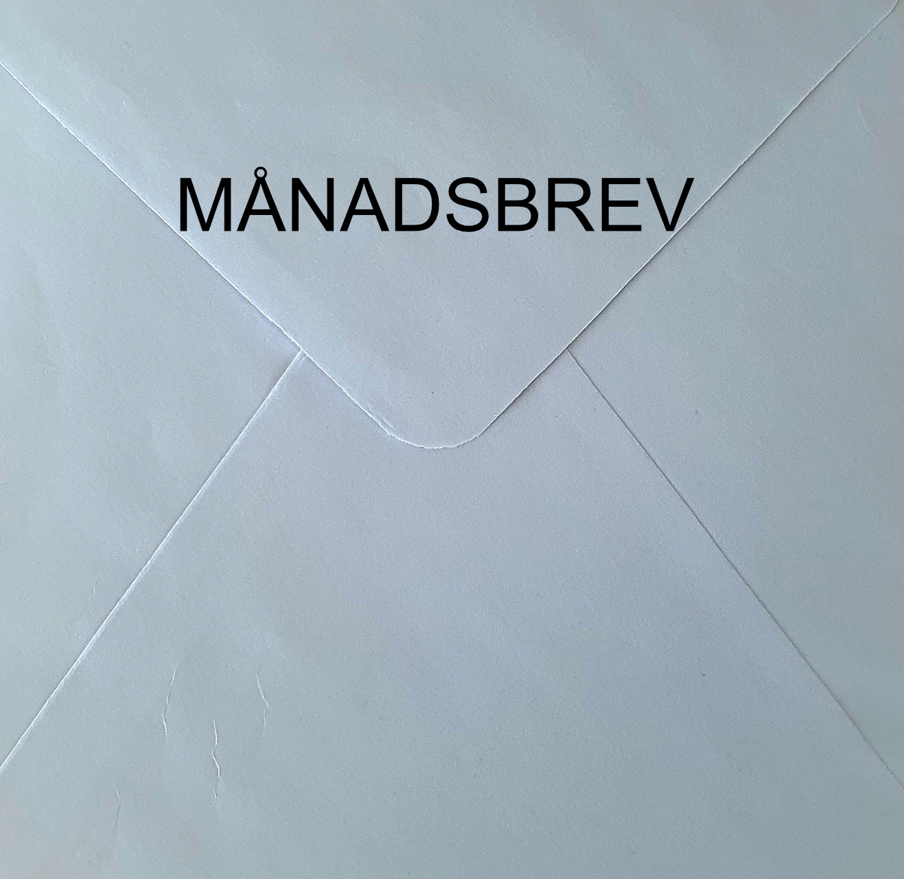 Månadsbrev 1