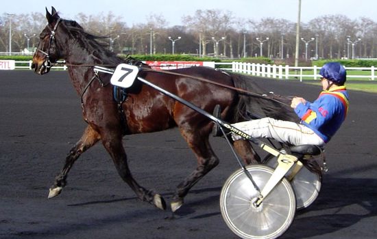 1200Px Sulky Racing Vincennes DSC03728 Cropped Boosted