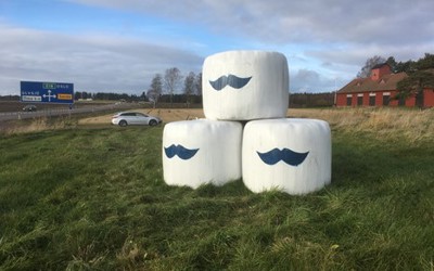 Mustaschbalar