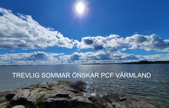 Trevlig Sommar 1