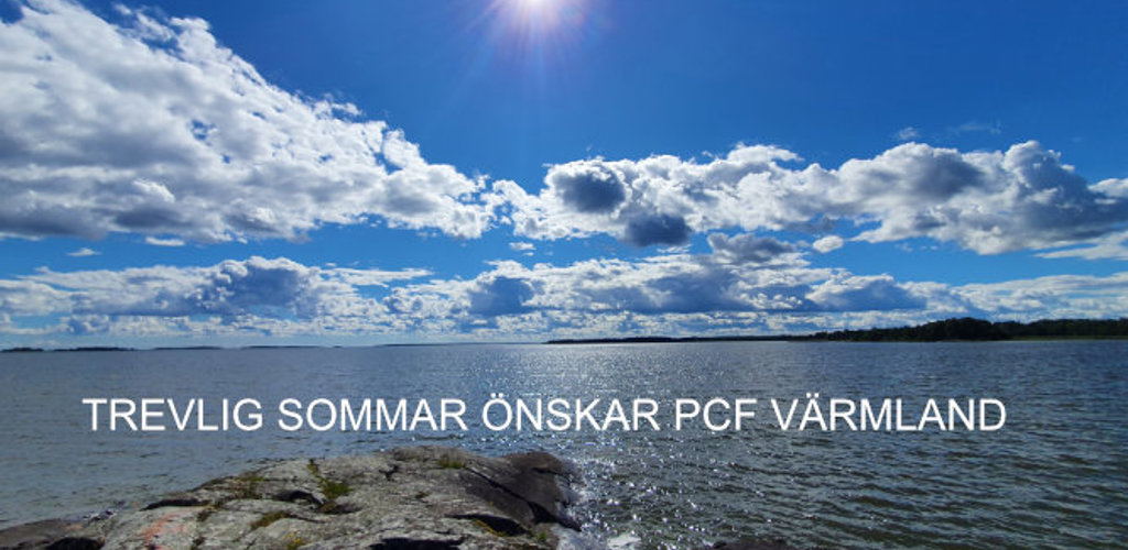 Trevlig Sommar 1