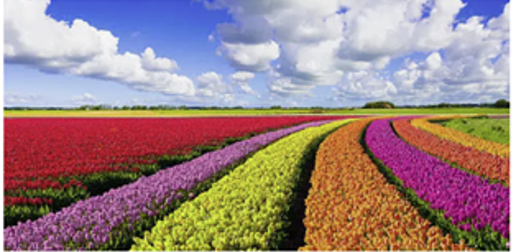 Medloemsbrev Våren 2025