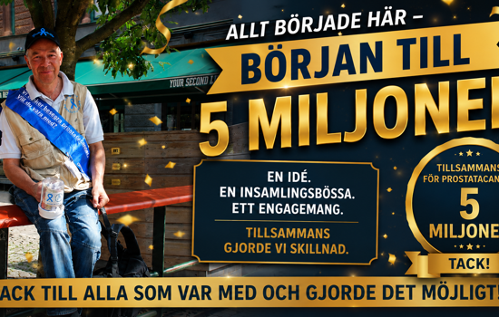 5 M Iljoner