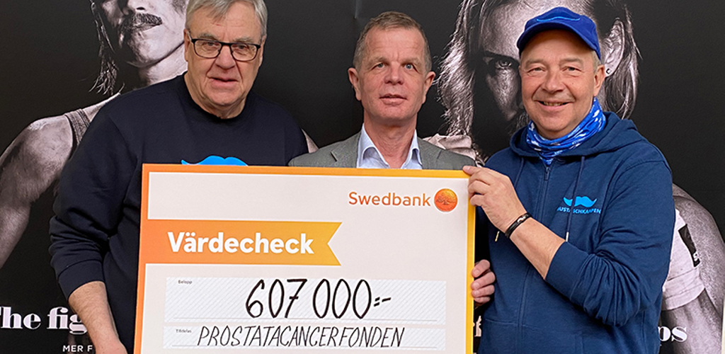 Check Varmland 2020