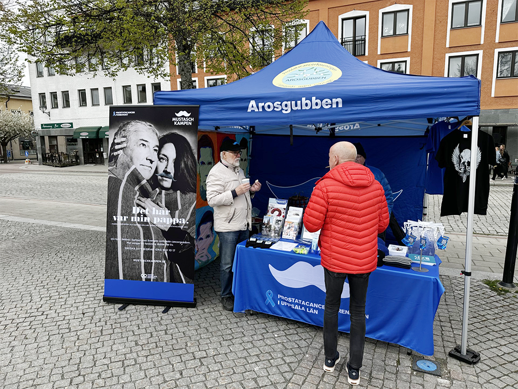 Bilens dag Enköping