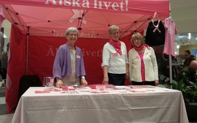 Våra rosa systrar