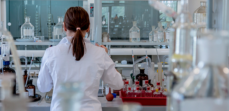 Forskningsanslag 2020