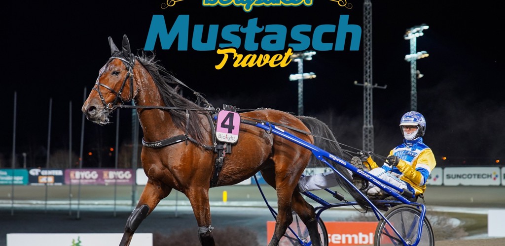 W 3320H 1869 Dcde1a W 3320H 1874 Ca7198 DSC00172 Png