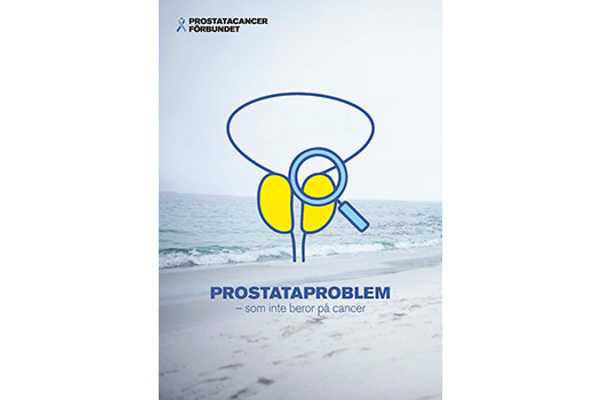 Prostataproblem 2026