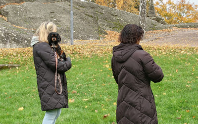 Guidad tur på Djäkneberget Fotograf: Elisabeth Löfberg