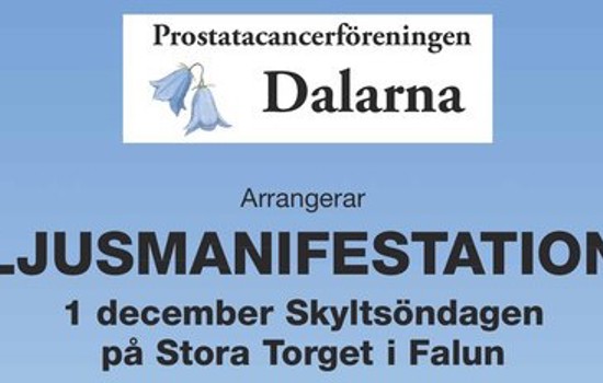 Annonsunderlag Ljusmanifestation 2024 Cropped (1)