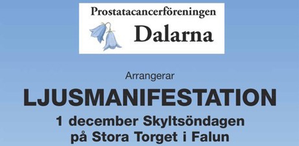 Annonsunderlag Ljusmanifestation 2024 Cropped (1)