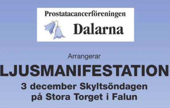 Ljusmanifestation 2023 (1)