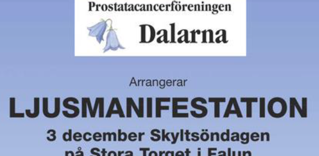 Ljusmanifestation 2023 (1)