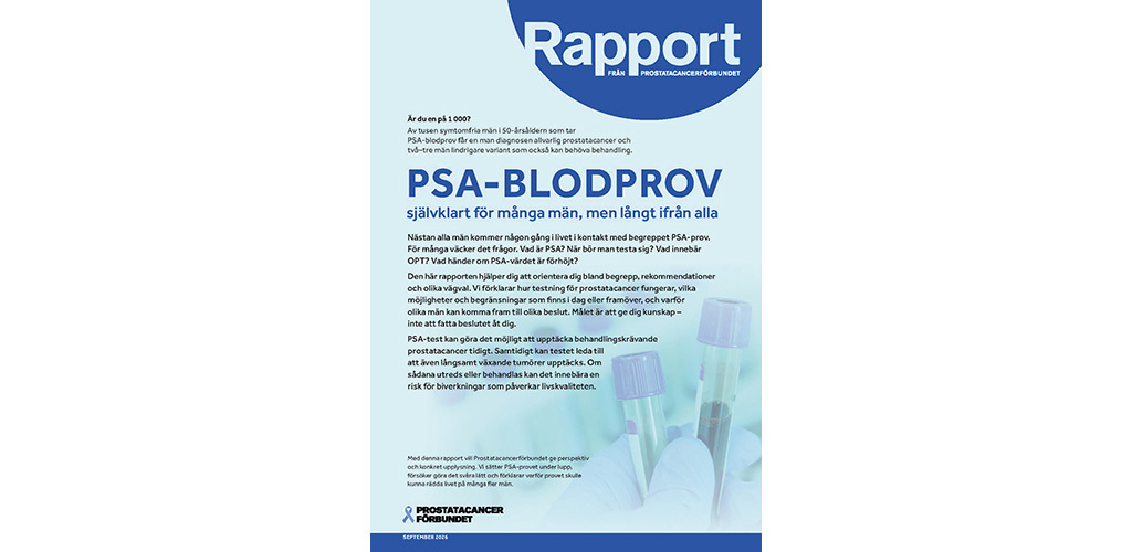 Rapport_2026.jpg